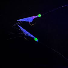 Image result for Sabicea dinklagei