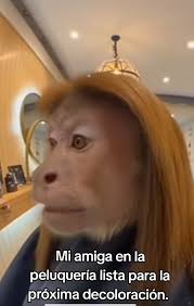 noe silva de kenia🗽🇭🇳🇺🇲🗽 (@jorge.cordova807)'s videos with sonido  original