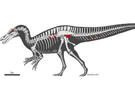 Porno leak aphrodixia arrange a meeting and she agreed to