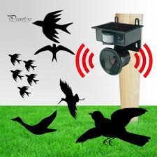 Find the best pest controller in minutes. Solar Powered Outdoor Ultrasonic Pest Bird Crow Animal Repeller Repellent Scarer Buy From 32 On Joom E Commerce Platform