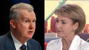 Shadow Foreign Affairs Minister Michaelia Cash calls for the Minister for  Home Affairs Tony Burke to resign for approving a visa to a Hamas supporter.