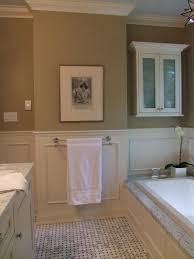 Panel Frame Molding Bathroom Design Bathroom Inspiration Mold In Bathroom
