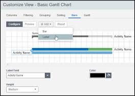 Primavera P6 Eppm And The Gantt Chart Late Bar