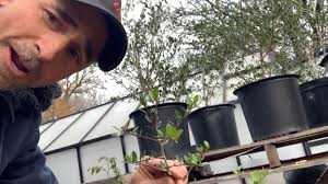 What a crazy ride it's been with the Ruth Street Garden. It's been an  uphill battle every day, but we've got some amazing support and good things  happening. You can find out