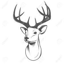 Tete De Cerf Isole Sur Fond Blanc Reindeer Drawing Deer Drawing Deer