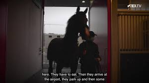 August 2021 der direkte draht • annalena lüder tel. Fei Video Die Anreise Der Pferde Zu Den Olympischen Spielen Equestrian Worldwide Pferdesport Weltweit Eqwo Net