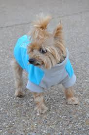 New Highline Fleece Dog Coats By Dogie Design