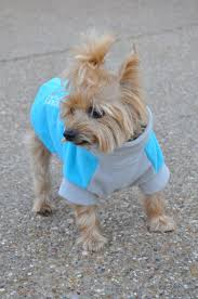 New Highline Fleece Dog Coats By Dogie Design