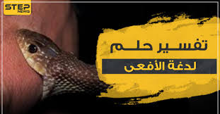 تفسير رؤية الأفعى في المنام أو الحية أو الثعبان كما يسميه أي شخص هو حلم قد يفسر بأكثر من طريقة، لذلك قسمت كل حالة من حلم بالثعبان على حدى لكي يتسنى للزوار الكرام أن يصلوا إلى مرادهم وتفسير أحلامهم بسهولة بالغة دون البحث الطويل في سطور كثيرة من. ØªÙØ³ÙŠØ± Ù„Ø¯ØºØ© Ø§Ù„Ø§ÙØ¹Ù‰ ÙÙŠ Ø§Ù„Ù…Ù†Ø§Ù… Ù‡Ù„ ØªØ¹Ù„Ù…