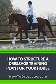How To Structure A Dressage Training Plan For Your Horse Dressage Training Dressage Horses