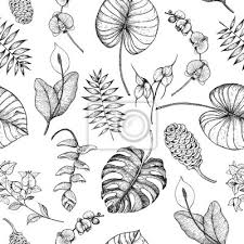 Schablonen und vorlagen zum ausdrucken. Nahtloses Muster Der Tropischen Palmblatter Vektor Illustration Fototapete Fototapeten Monstera Graviert Gravur Myloview De