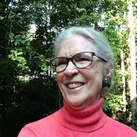 Orange as Marmalade (Biscuit McKee Mystery #1) by Fran Stewart