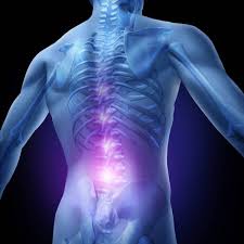 But some patients who've had the. Myths About Disc Bulges They Are Not Forever But Training Is Breaking Muscle