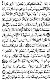 نقره لتكبير أو تصغير الصورة ونقرتين لعرض الصورة في صفحة مستقلة بحجمها الطبيعي