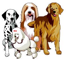 The chow chow is proud, independent, very loyal to its family and rather suspicious of though not an overly active dog, regular outdoor activity is a daily requirement. How Many Breeds Of Dogs Are There In The World Psychology Today