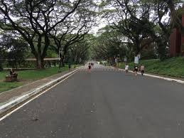 The university of the philippines (up) is home and alma mater to some of the country's best and brightest. University Of Philippines Diliman Great For Running And Walking Picture Of University Of The Philippines Luzon Tripadvisor