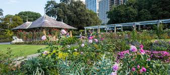 How much does it cost to build a botanical garden. Outdoor Functions At The Royal Botanic Garden The Royal Botanic Garden Sydney