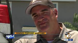 Heat and humidity creating perfect conditions for bugs