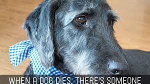 So, when a pet dies it can hurt just as much as when a close one or family member dies. Pet Sympathy Messages Condolences For Loss Of Dogs Cats And Other Pets Pethelpful