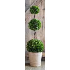 We did not find results for: Preserved Boxwood Balls Bella Marie