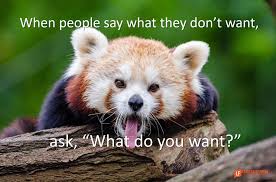 4 Things To Do About Stuff That Drives You Crazy Cute Animals Red Panda Panda Facts