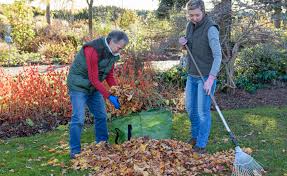 Wann der richtige zeitpunkt für die düngung des rasens ist und womit sie ihren rasen für den winter stärken zeigt dieser beitrag. Herbstdunger Fur Den Rasen Mein Schoner Garten