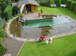Naturpool 9 Bestrittene Mythen Garten Pooldesign Zenideen Schwimmteich Naturschwimmteich Badeteich