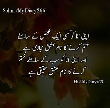 Pin By Arshad On Urdu Urdu Quotes She Quotes Urdu Words