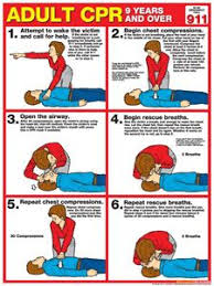 20 Best Cpr Images First Aid Cpr First Aid Tips