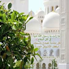 إن الله وملائكته يصلون على النبي يا أيها الذين آمنوا صلوا علية وسلموا تسليما Taj Mahal