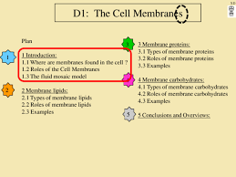 Animal cells come in all kinds of shapes and sizes, with their size ranging from a few millimeters to micrometers. Pdf Cell Membranes As Biology Xavier Daniel Academia Edu