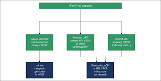 Heart Failure With Mid Range Ejection Fraction State Of