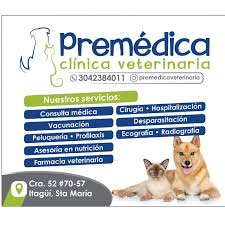 premédica clínica veterinaria