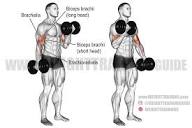 Dumbbell curl exercise instructions and video | Weight Training Guide