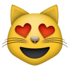 Smiling Cat Face With Heart Shaped Eyes Emoji U 1f63b U E106 Cat Emoji Cool Emoji Smiling Cat