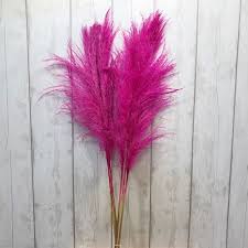 Looks so cute on my record player. Cortaderia Pampas Grass Dyed Hot Pink 100cm Wholesale Dutch Flowers Florist Supplies Uk