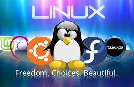 Resultado de imagen para linux