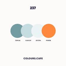 Colour237 Light Or Dark 729ca2 C4dcdf Ecf3f4 Ff893b 565461 Colors Color Co Color Palette Challenge Pantone Colour Palettes Color Palette Design