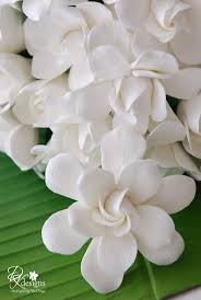 Magnolia Sugar Paste Flowers Detail On Cake Love The Bright Green Next To Fresh White Flores De Azucar Flores Blancas Flores Hechas A Mano