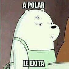 A Polar Le Exita Memes Funny Memes Cartoon Memes