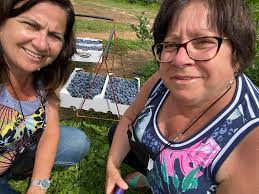Toddler friendly blueberry upick near Camden or Acadia?