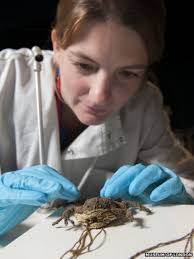 Found these frog purses in the wild while walking around St Pete! So cool🐸