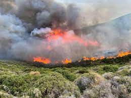 Η φωτιά καίει αγροτική έκταση. Fwtia Twra Sth Monembasia Sth Maxh Kai Enaeria Mesa Eidhseis Nea To Bhma Online