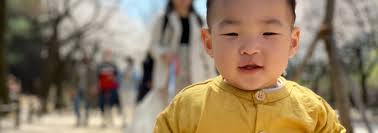 New Hampshire Adoption Grant