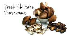 Image result for shiitake mushrooms