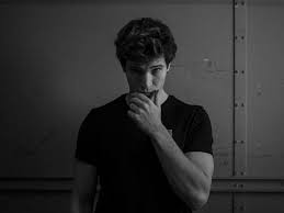 Ausführliche informationen, news, biografie, diskografie, bilder & fotos, wincent weiss fanseiten und surftipps. Wincent Weiss Manchmal Fuhle Ich Mich Wie Ein Affe Im Streichelzoo Jolie De