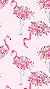 Flamingo Flamingobackground Flamingowallpaper Wallpapers Wallpaper Flamingo Wallpaper Iphone Wallpaper Cellphone Wallpaper
