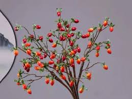 Image result for Diospyros lycioides