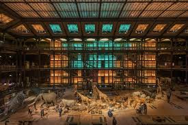 Hotel is a branch of timhotel hotel chain. Visiter Le Museum National D Histoire Naturelle Astuces Et Infos Pratiques