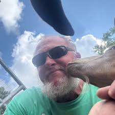 Where to buy above ground pools in store?